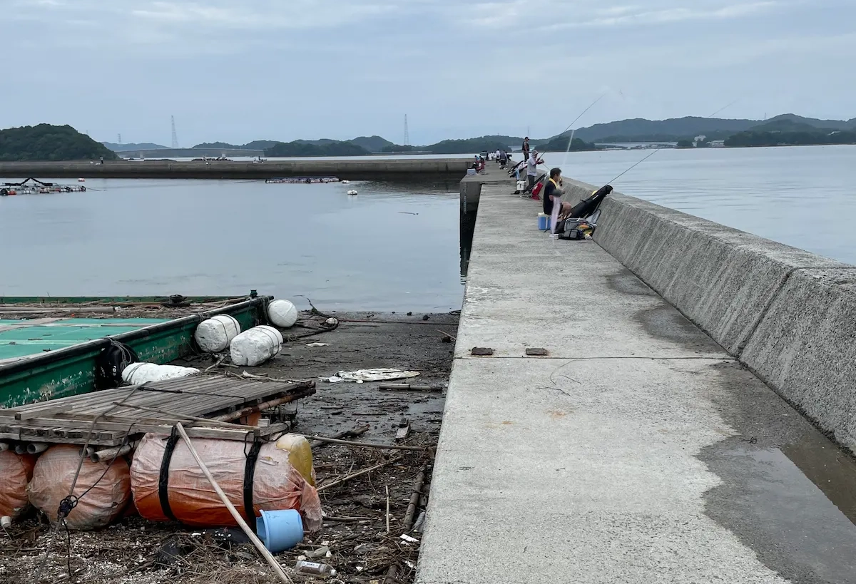 樋合新港の写真