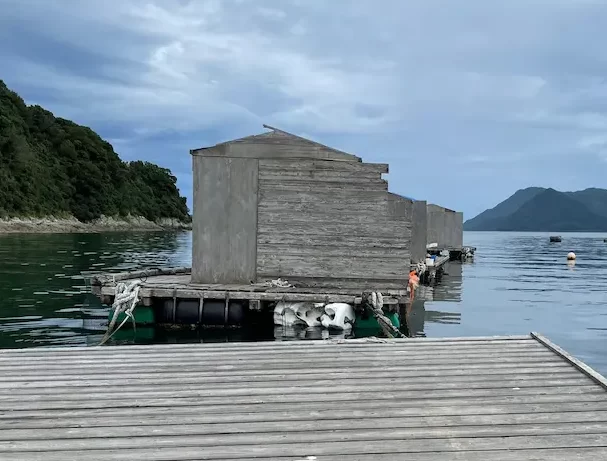 筏のイメージ写真