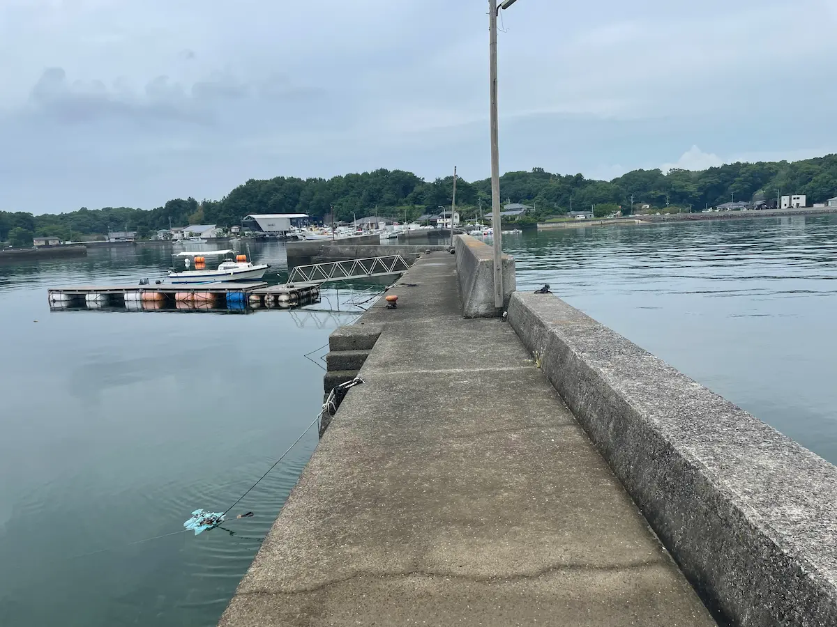 小瀬戸港の写真