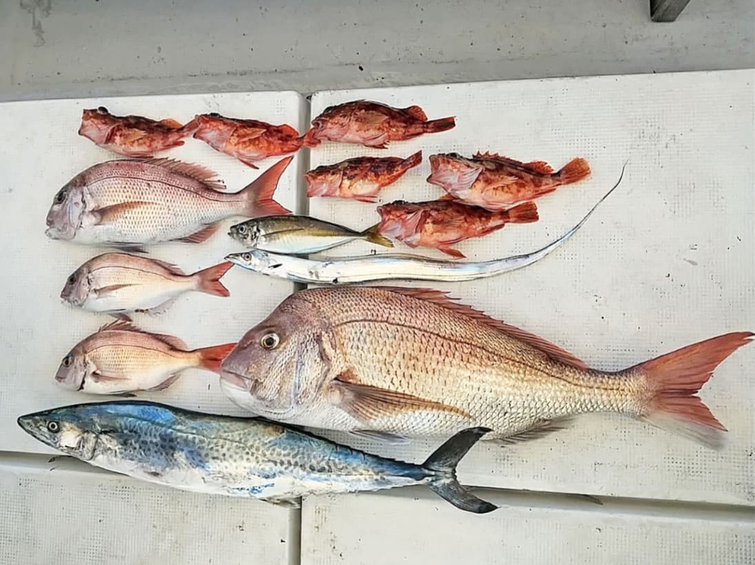 泰心丸の釣果写真